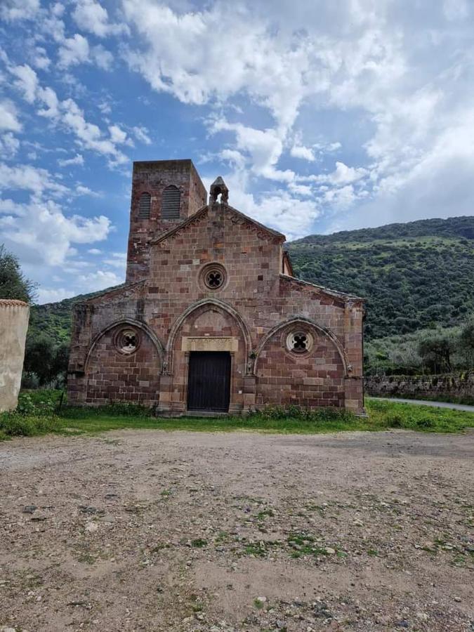 Le Camelie * Bosa